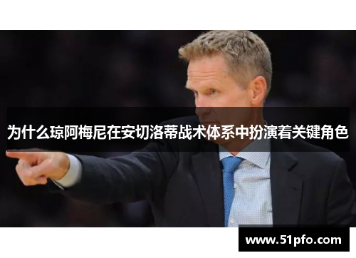 为什么琼阿梅尼在安切洛蒂战术体系中扮演着关键角色
